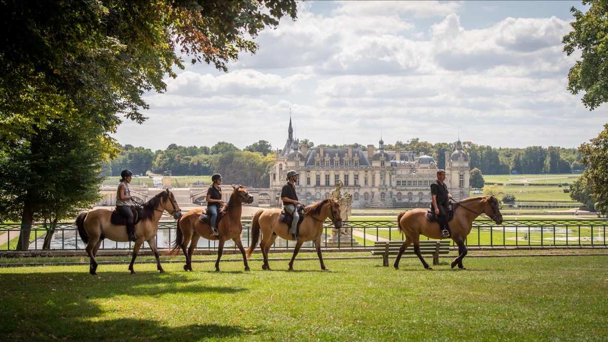Balade a dos de Henson - CHANTILLY - 22 km