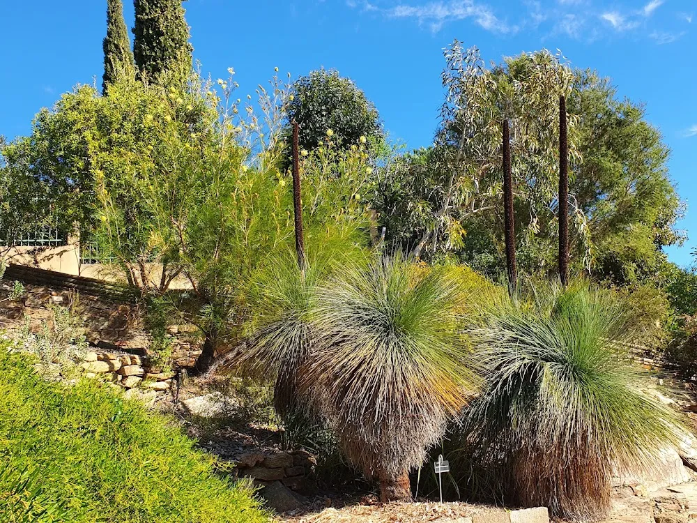 Parc Gonzalez