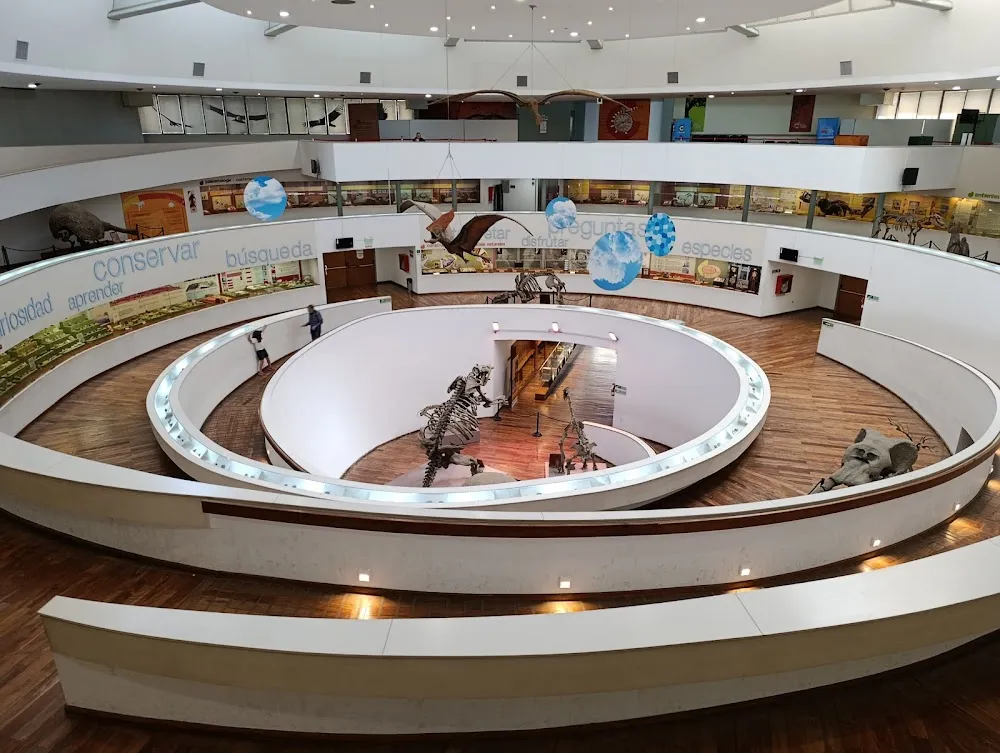 Museo Provincial de Ciencias Naturales "Dr. Arturo Umberto IllĂa"