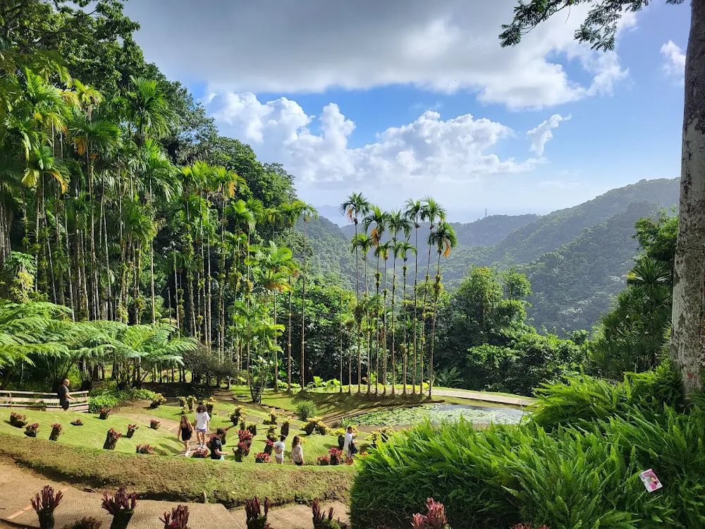 Parc naturel régional de la Martinique