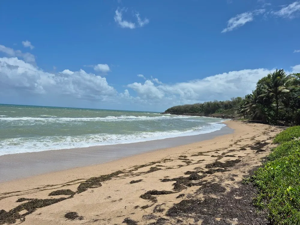 Plage de l'Anse Vinty