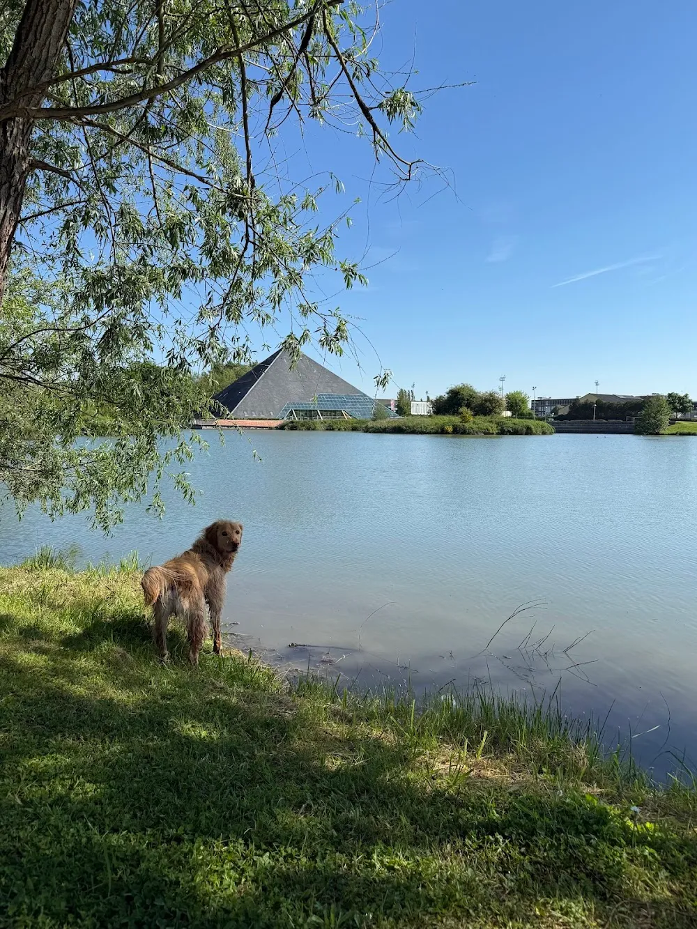Parc de la Nasse