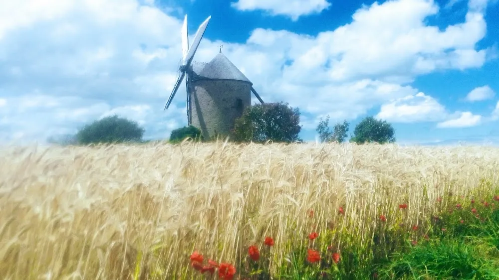 Moulin de Moidrey