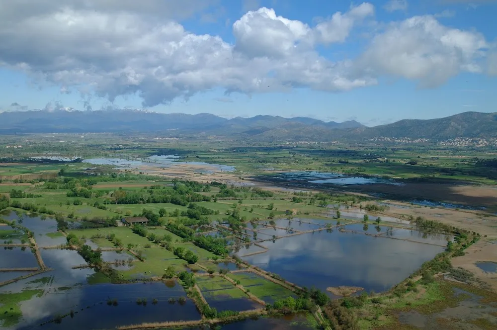 Parc naturel des Aiguamolls