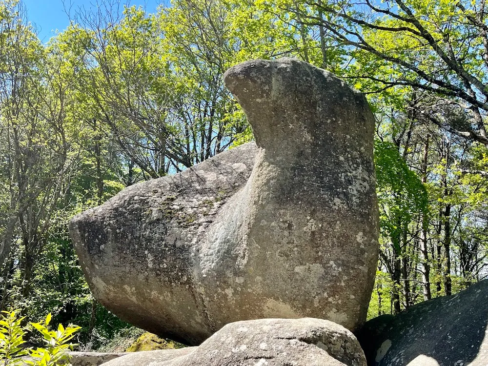 Roc de l'Oie