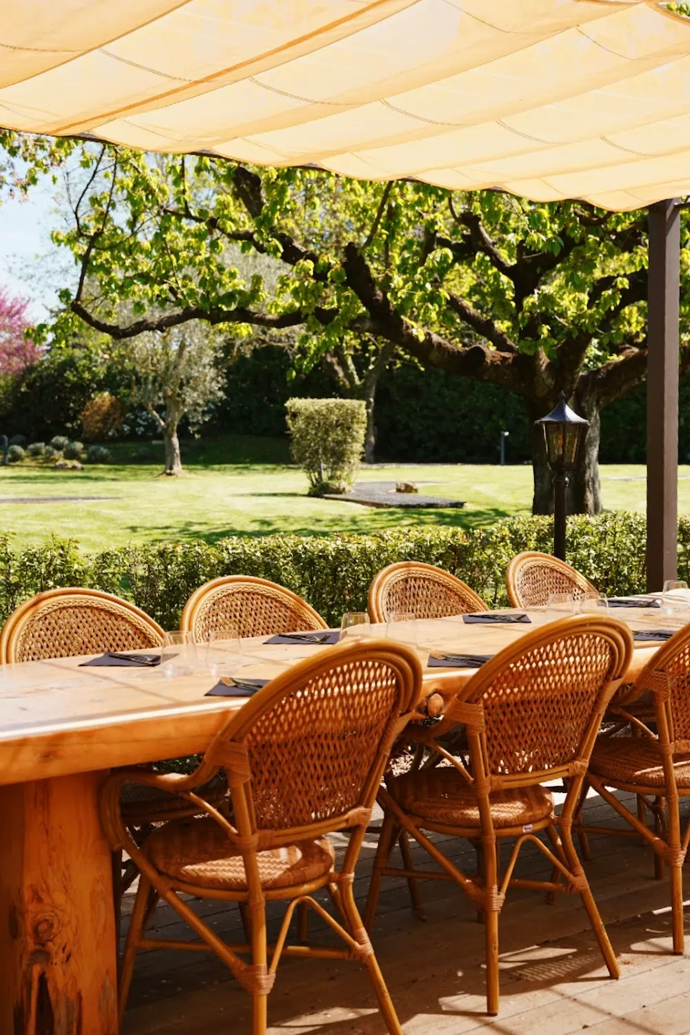 AMICI RISTORANTE