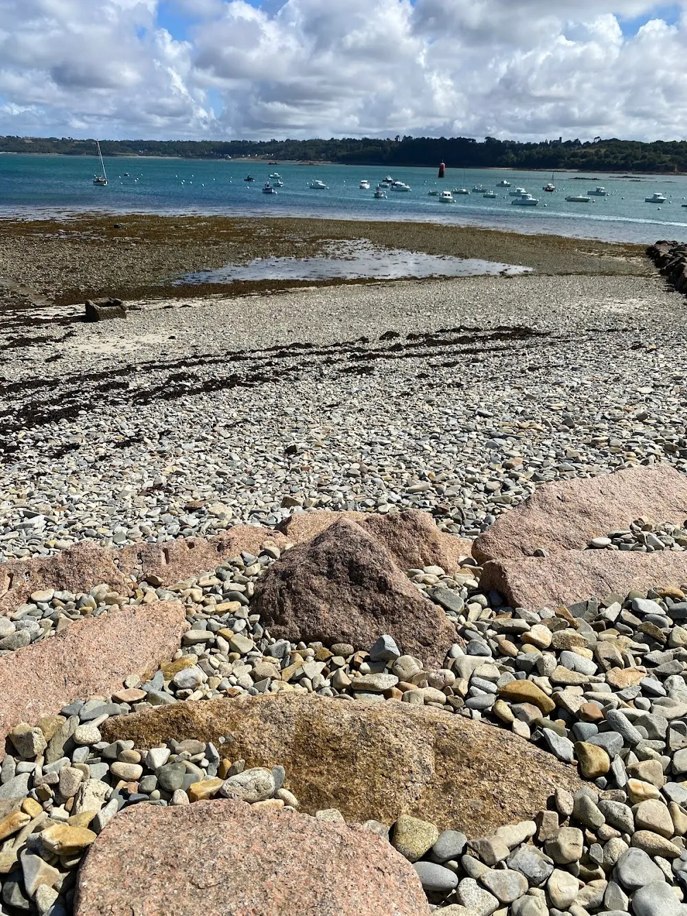 Plage aux chiens