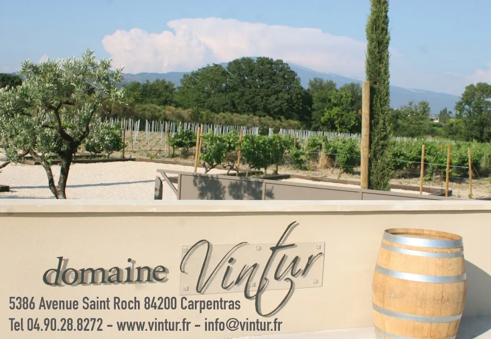 Domaine Vintur