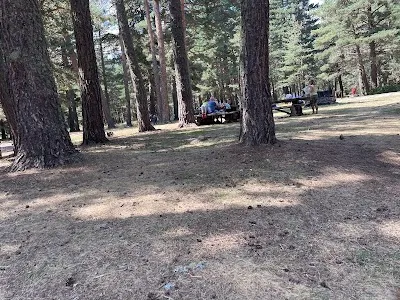 Parc avec barbecue