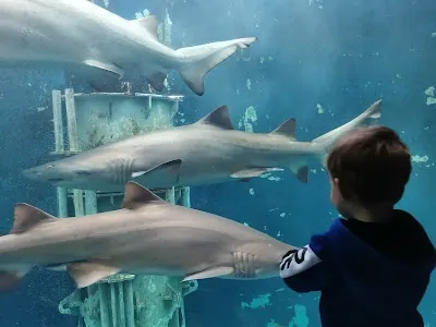 Grand Aquarium de Saint-Malo