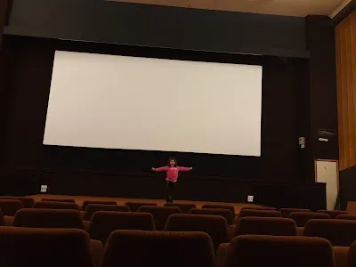 Cinema le Drakkar