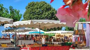 🧺 Jeudi Matin : Les Salles-sur-Verdon