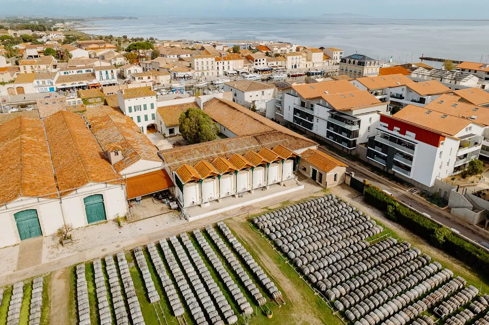 Maison Noilly Prat -Visite - Bar - Boutique