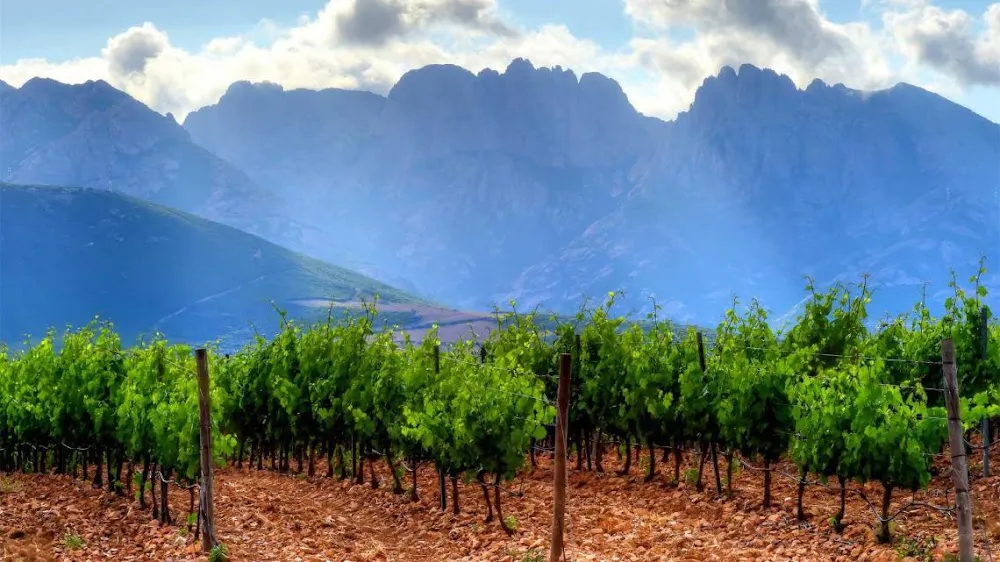 Domaine 'Alzipratu