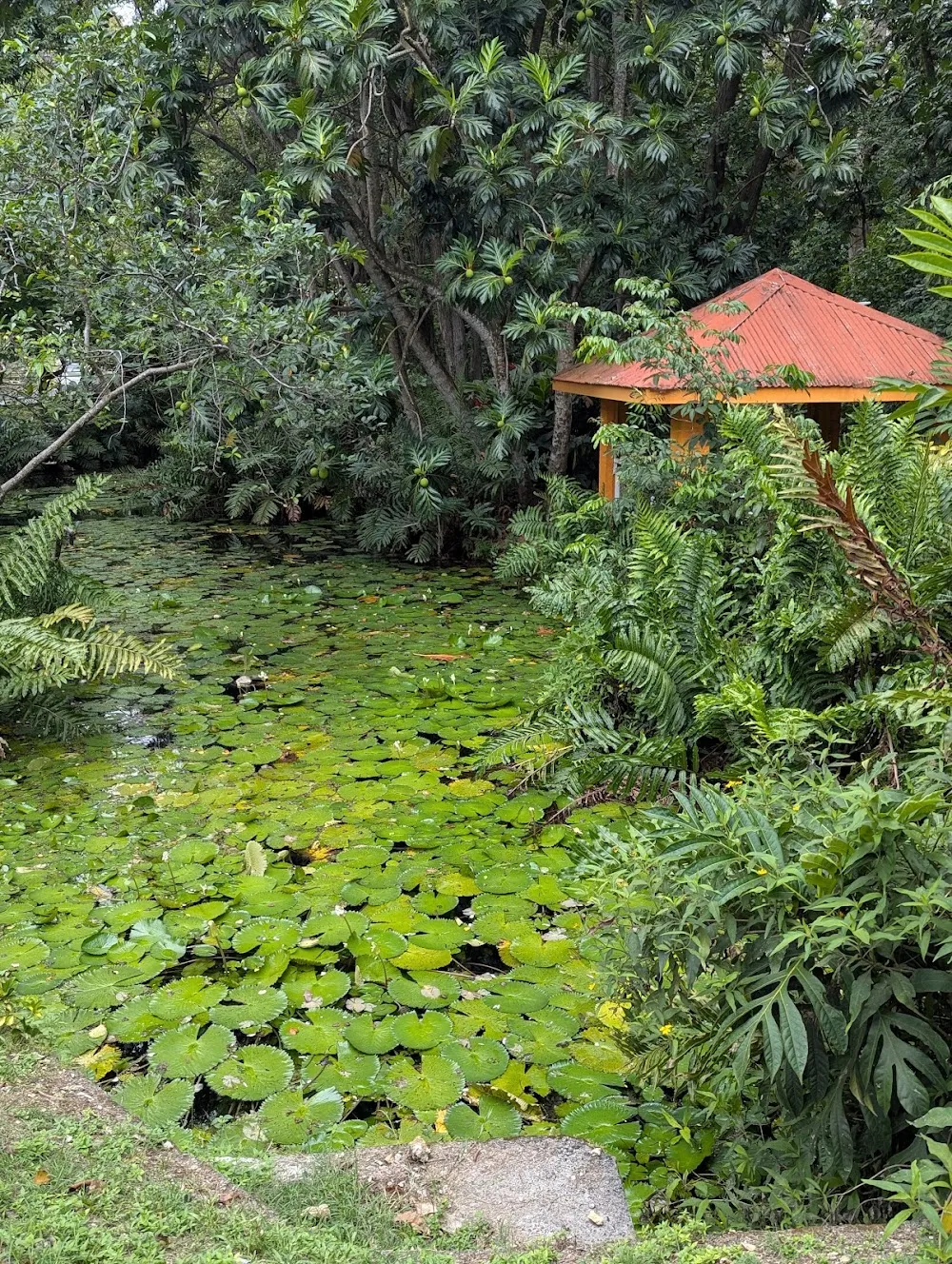 La Source de Poucet