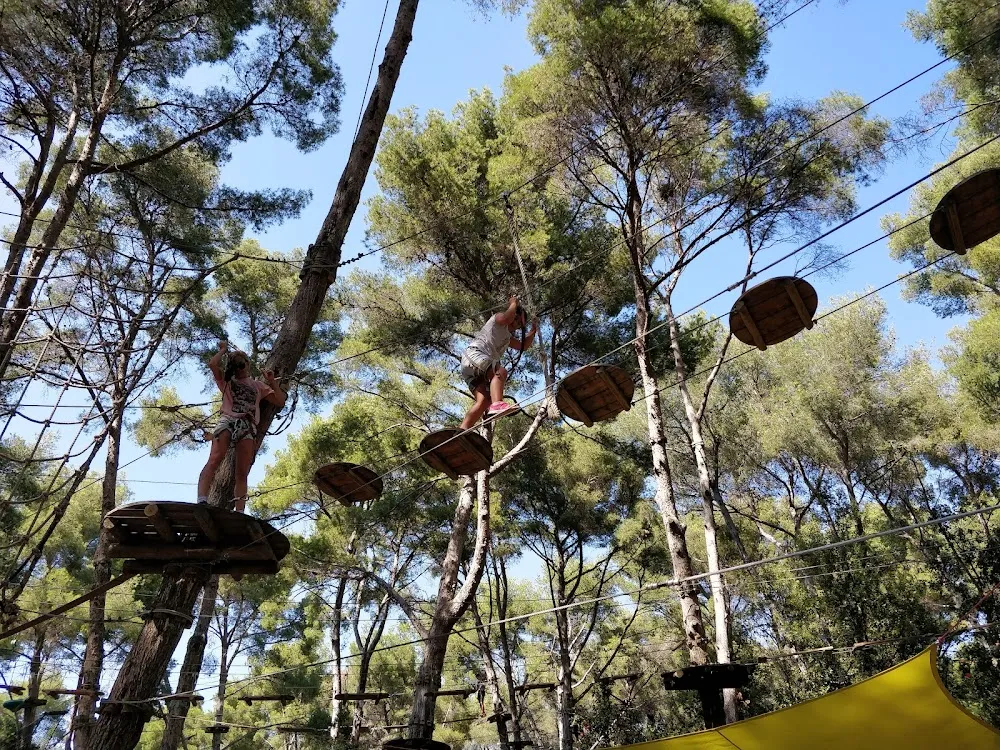 Bois de La Coudoulière