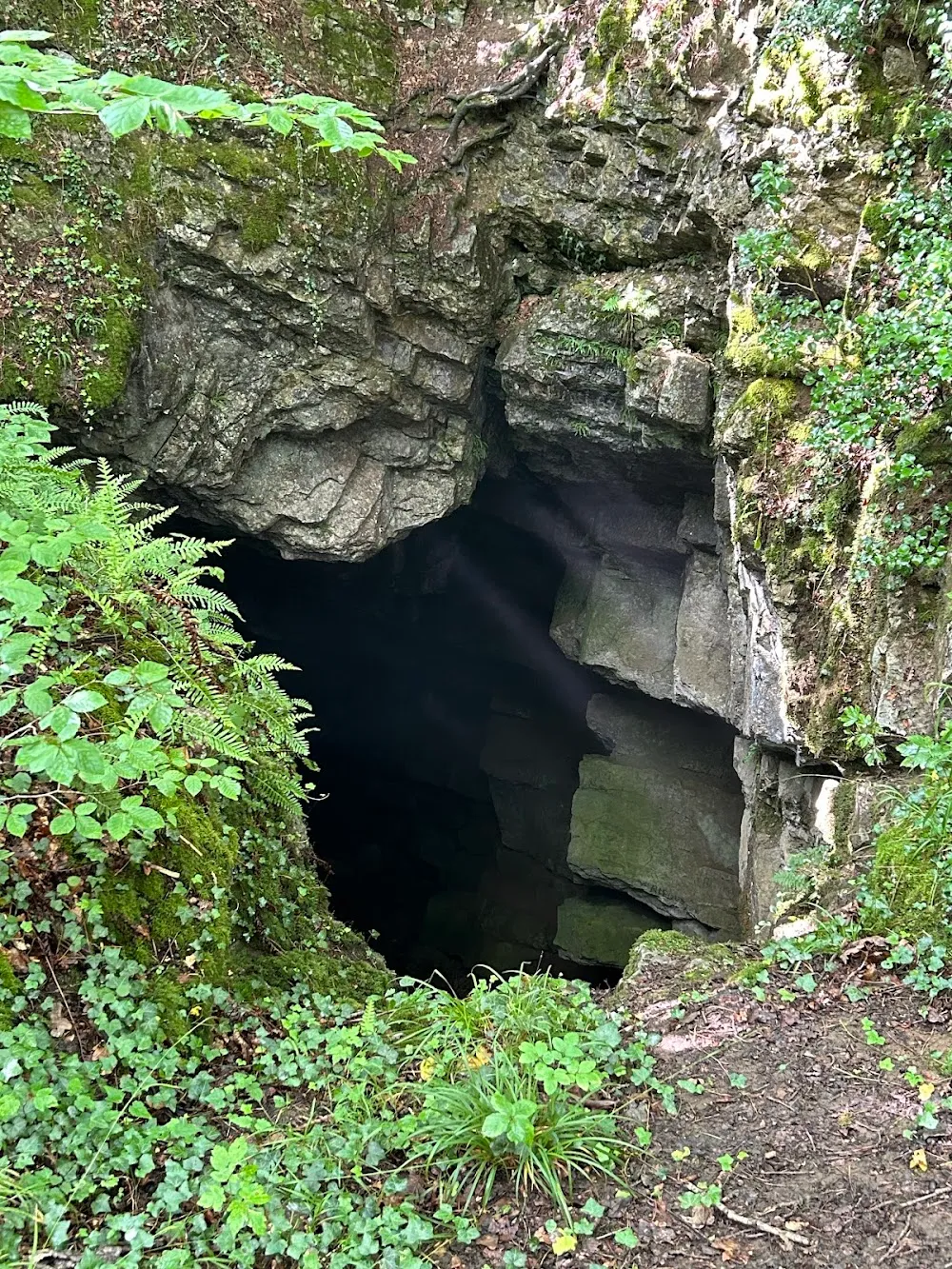 Site naturel du Fond des Vaulx