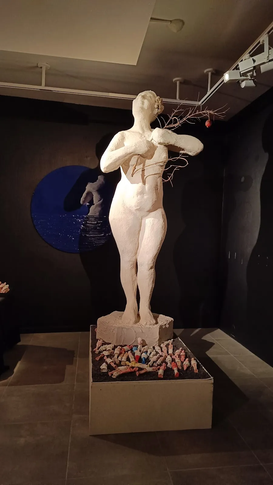 Collections de Saint-Cyprien