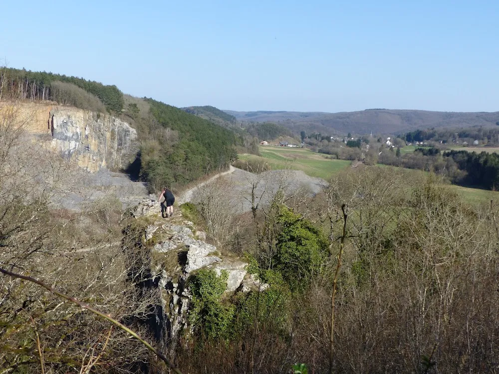 La Roche aux Faucons