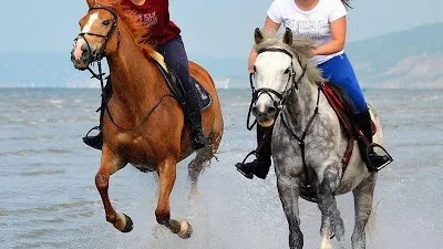 Pôle Equestre de Cabourg - La Sablonnière