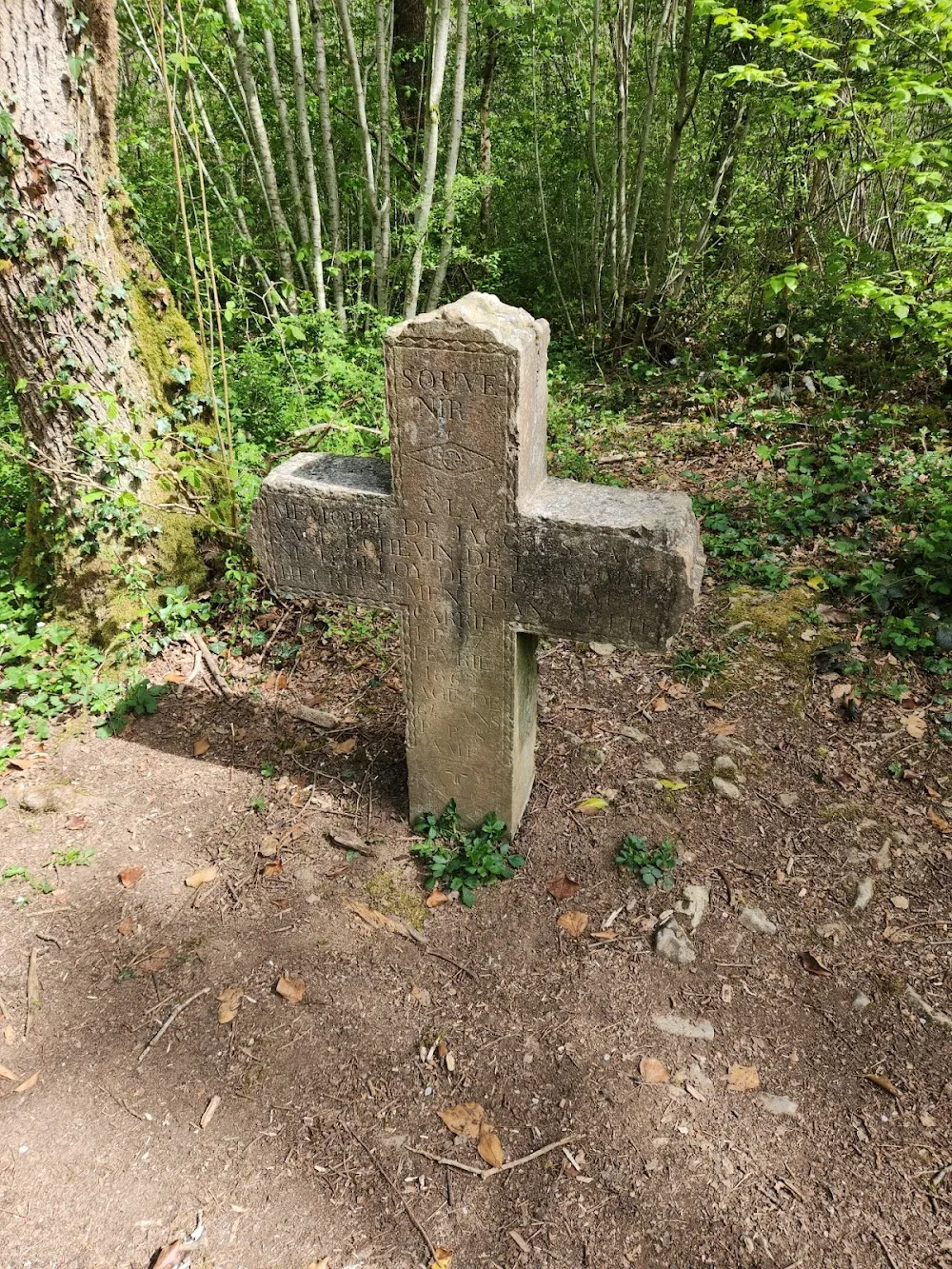 Croix Jacques Sauvage