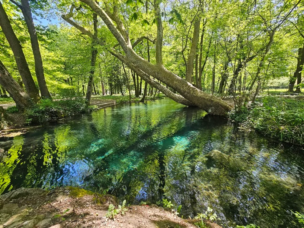 Parc de la Poya