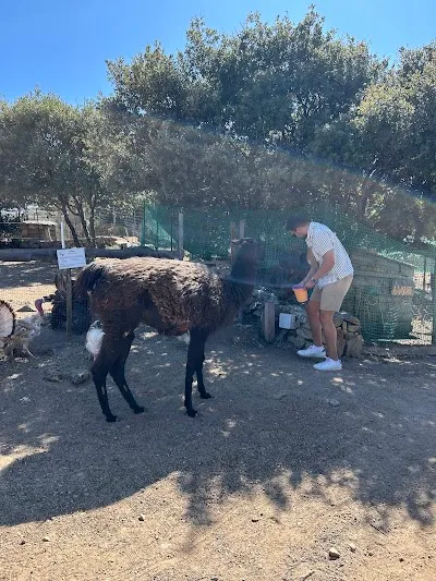 Ferme pédagogique