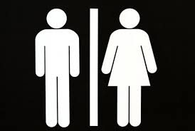 🚻 Toilettes Publiques (Village & Plage)