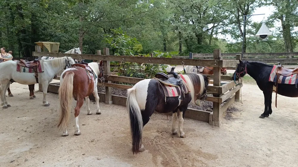 Poney Club