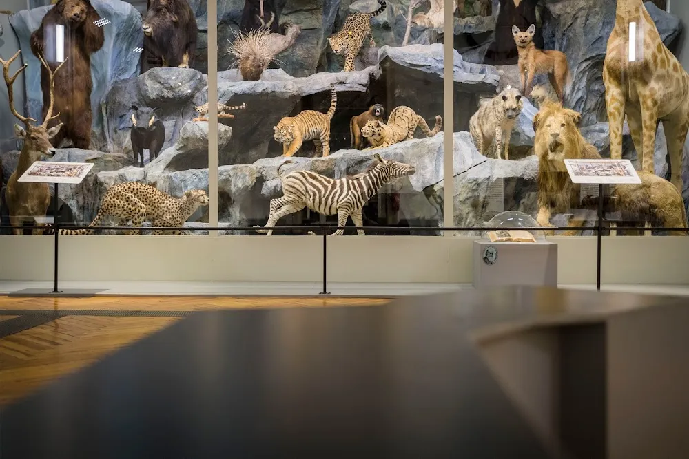 Musée d'Histoire Naturelle de Lille