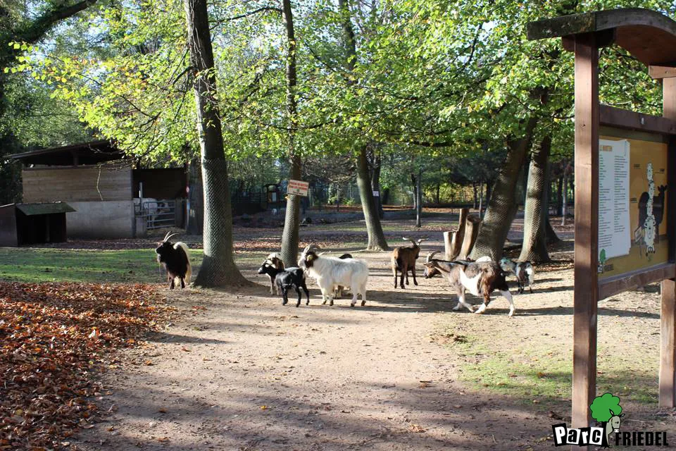 Parc animalier Friedel