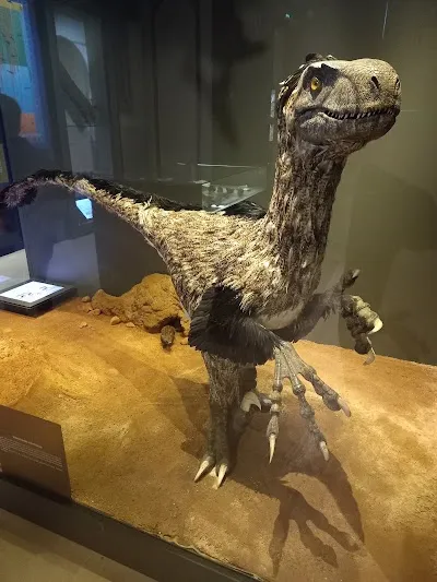 Muséum départemental du Var