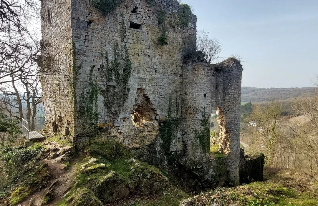 Château Haute Roche
