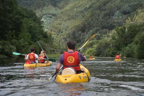 Kayak