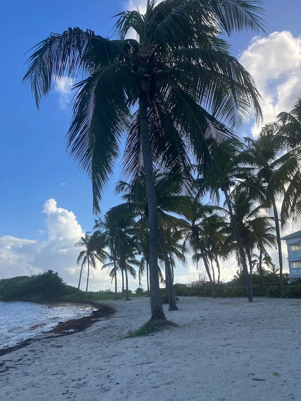 Plage de la Pointe des Pies