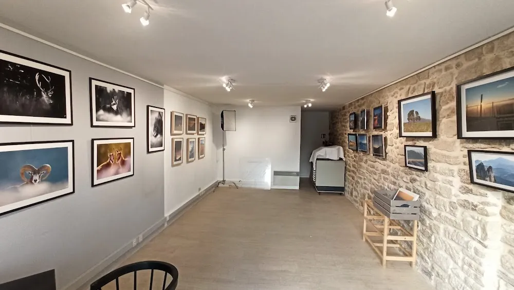 Galerie Fine ART