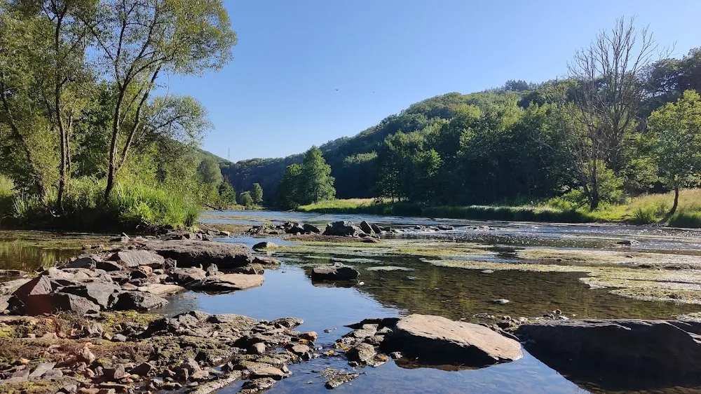 Réserve naturelle de Bohan Membre