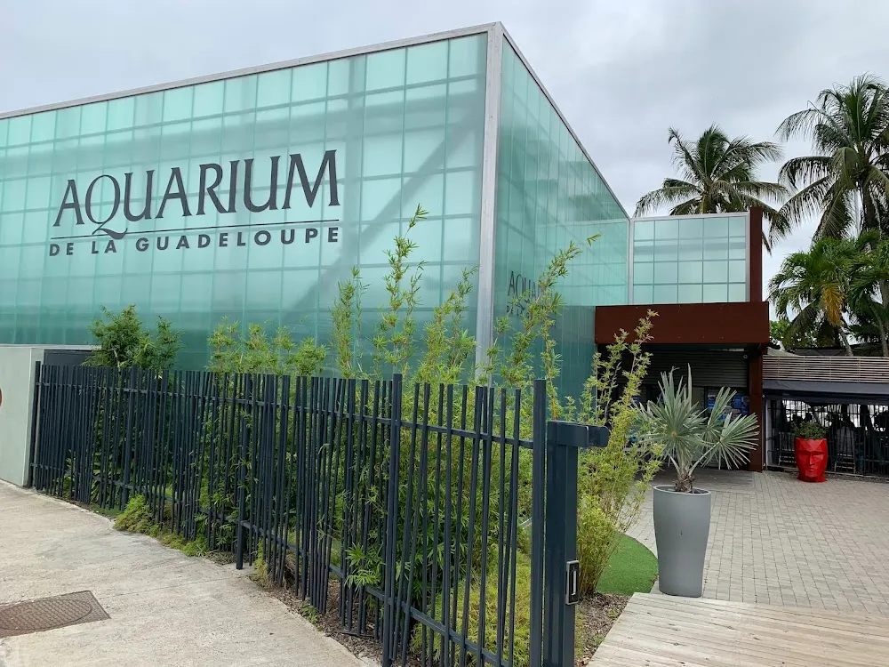 Aquarium de la Guadeloupe