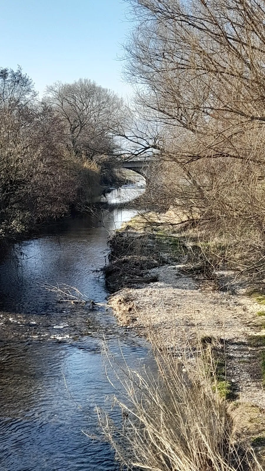 Parc des Alexis
