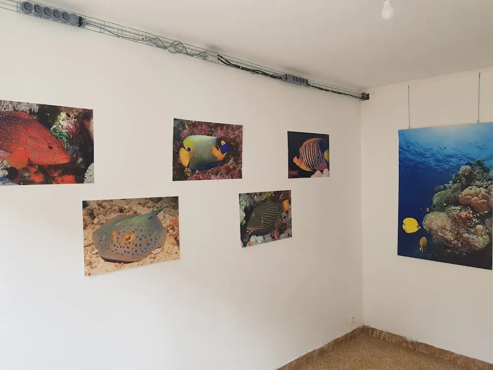 La Girolle Eclectique