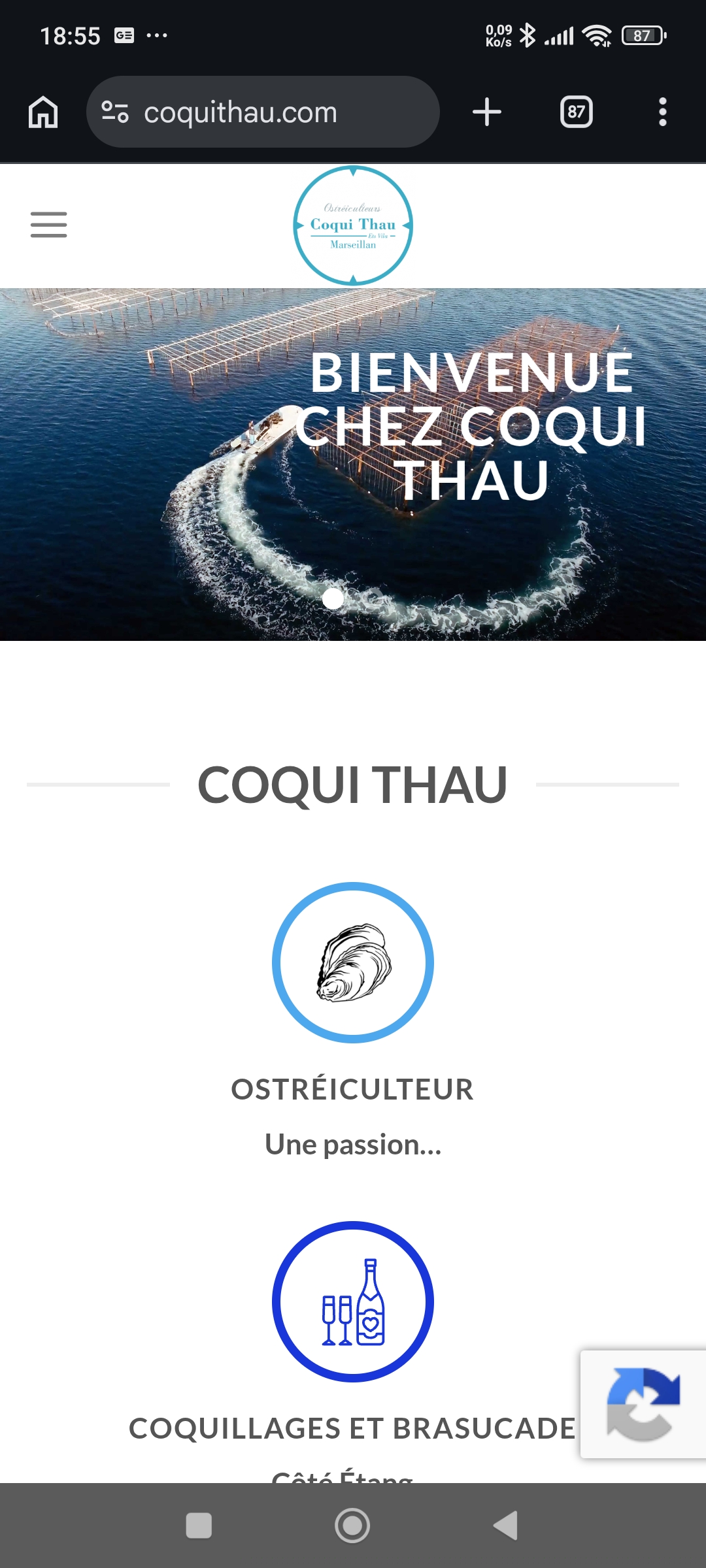Coquí Thau