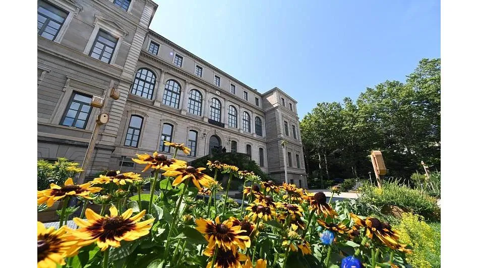 Musée d'Art et d'Industrie