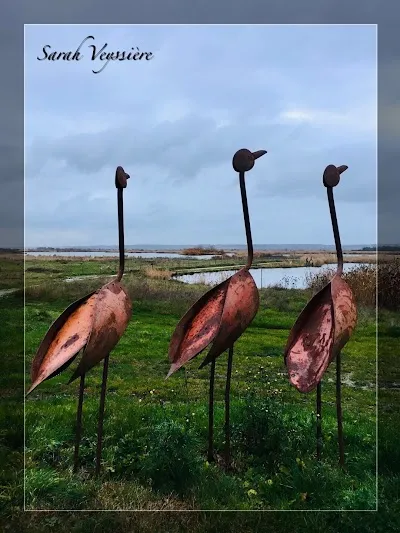 Parc Naturel Marin de lâEstuaire de la Gironde