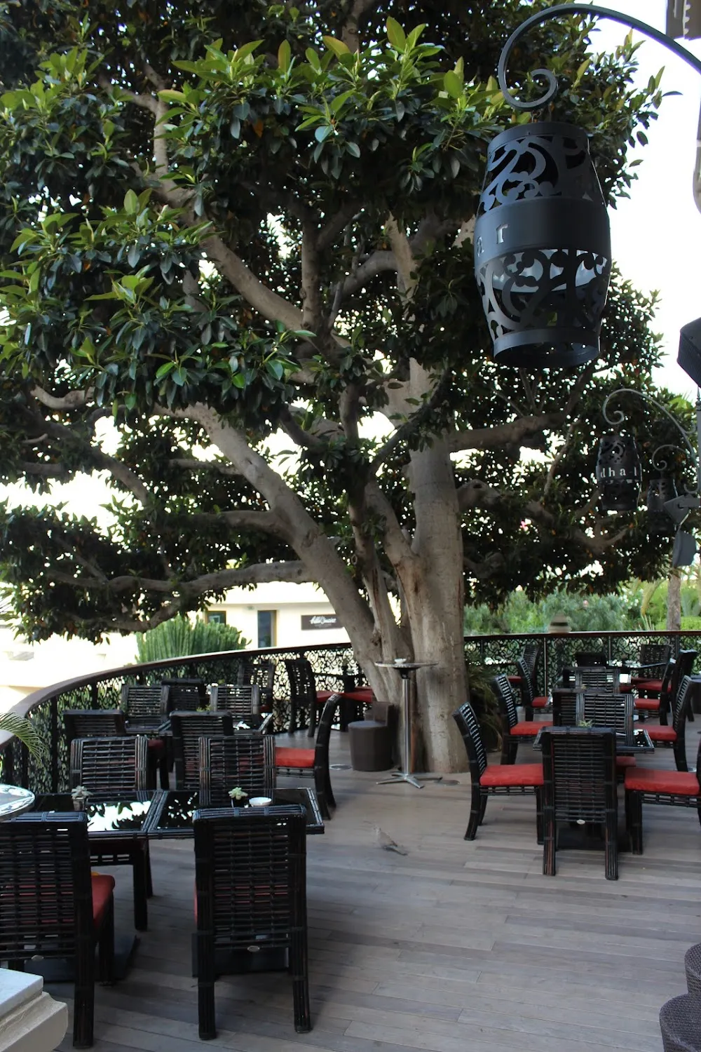 Buddha-Bar Monte-Carlo