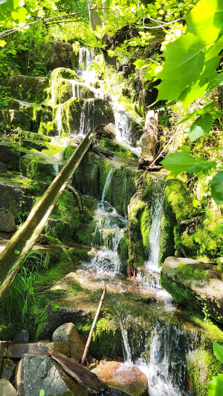 Chute à Vidas