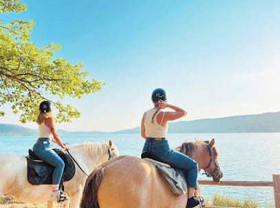 🐎 Équitation (Verdon Equitation)