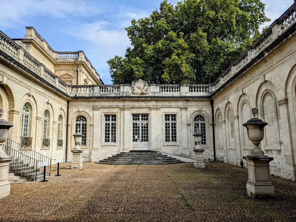 Musée Calvet