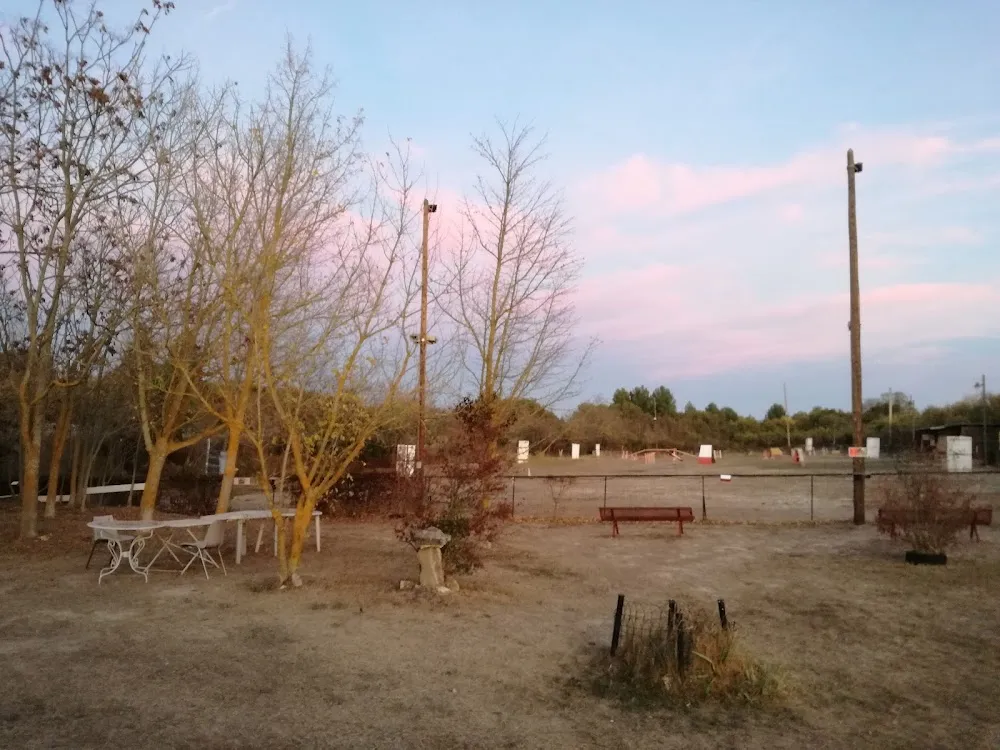 Aix Sport Canin