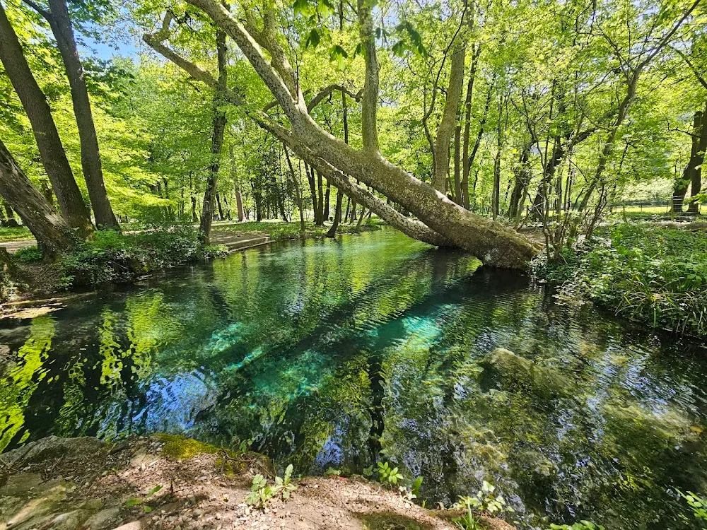 Parc de la Poya