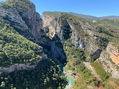 🦅 Le Point Sublime